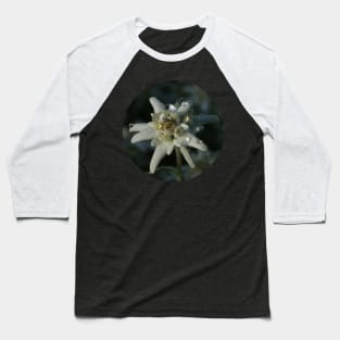 Edelweiss Baseball T-Shirt